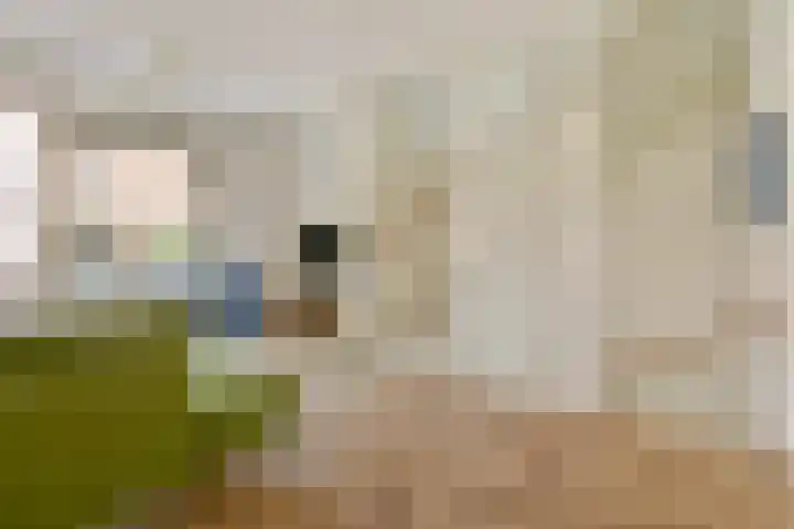 Meimorgenstraat 17 Amsterdam thumbnail 7
