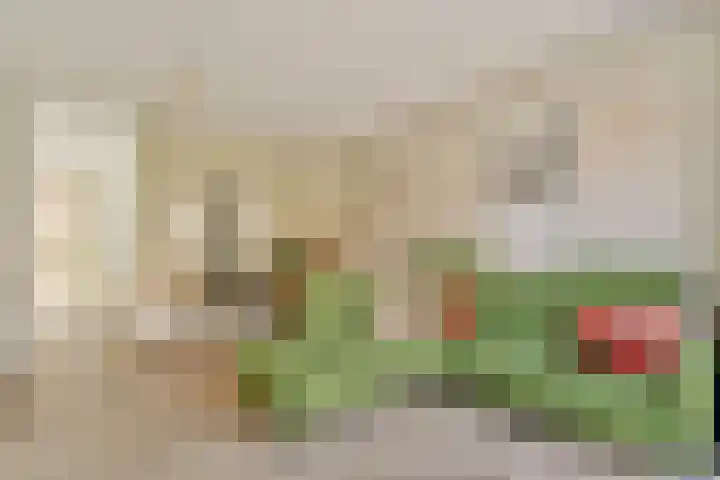 Meimorgenstraat 17 Amsterdam thumbnail 8