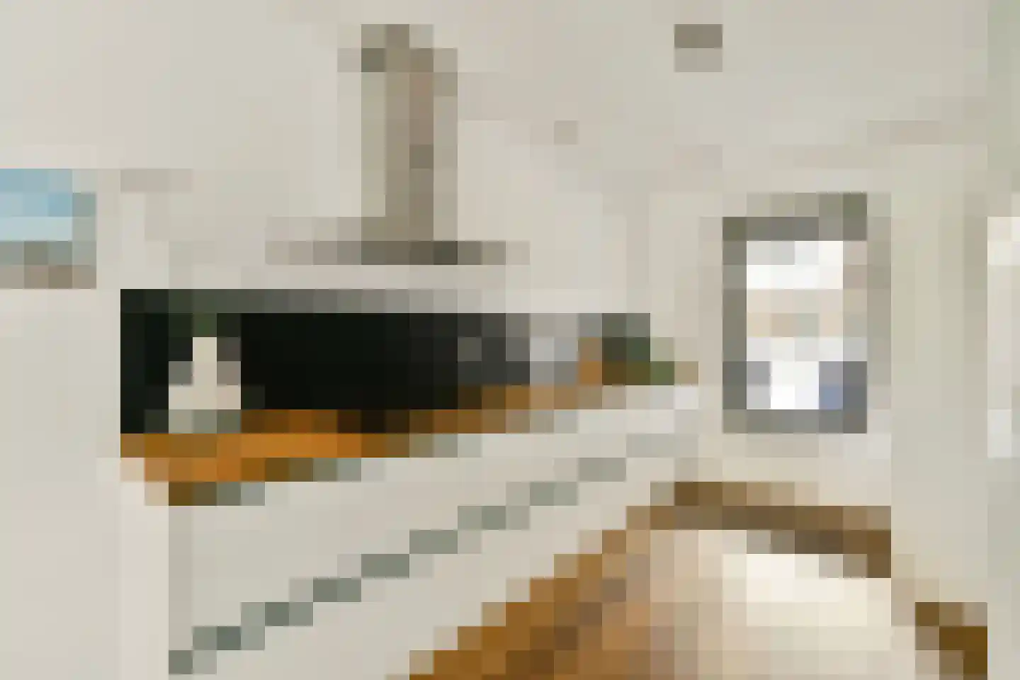 Meimorgenstraat 41 Amsterdam thumbnail 30