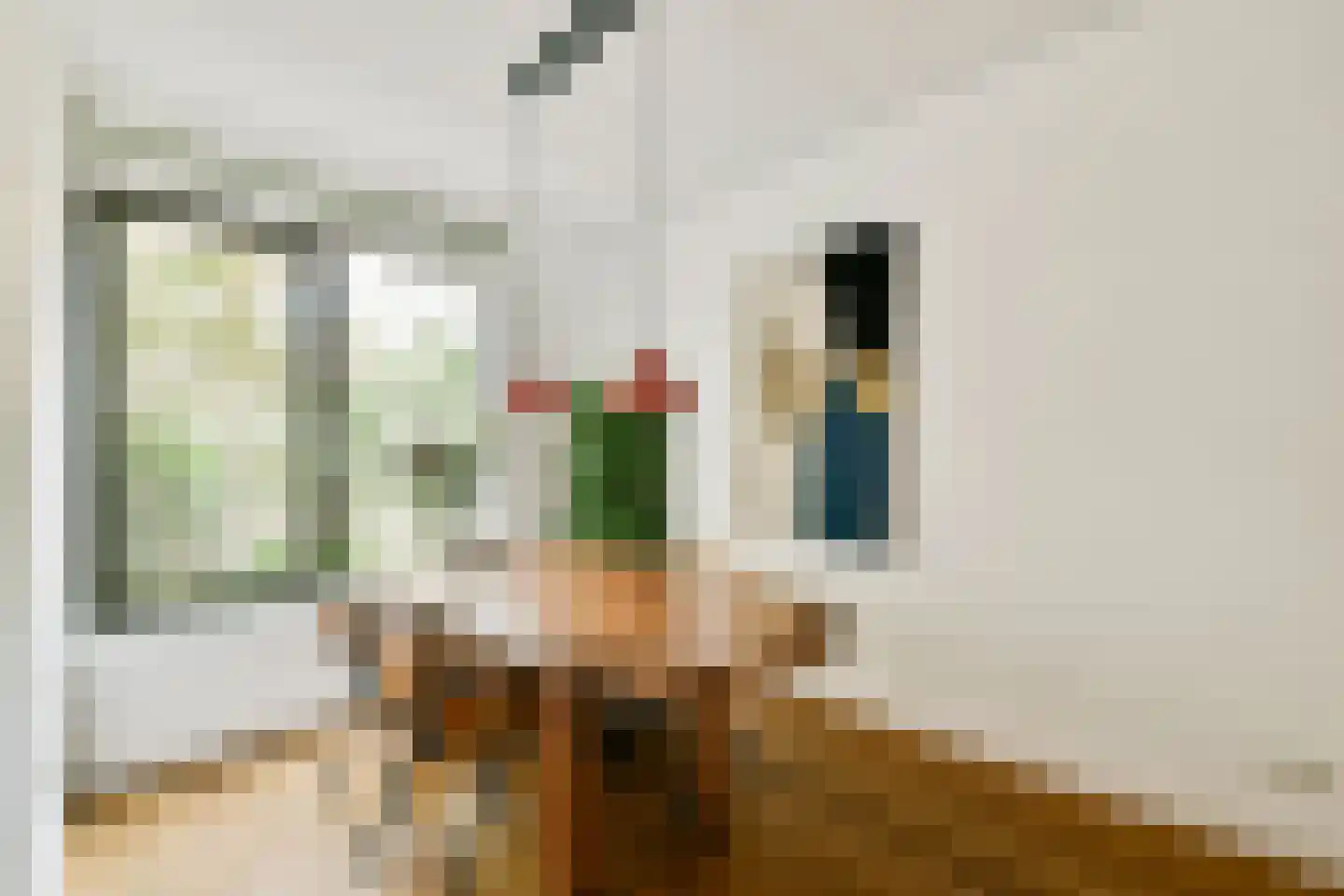 Meimorgenstraat 41 Amsterdam thumbnail 4