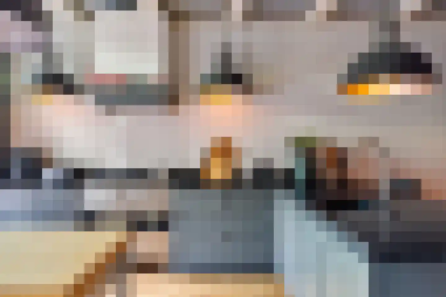 Meinardswei 36 Minnertsga thumbnail 10