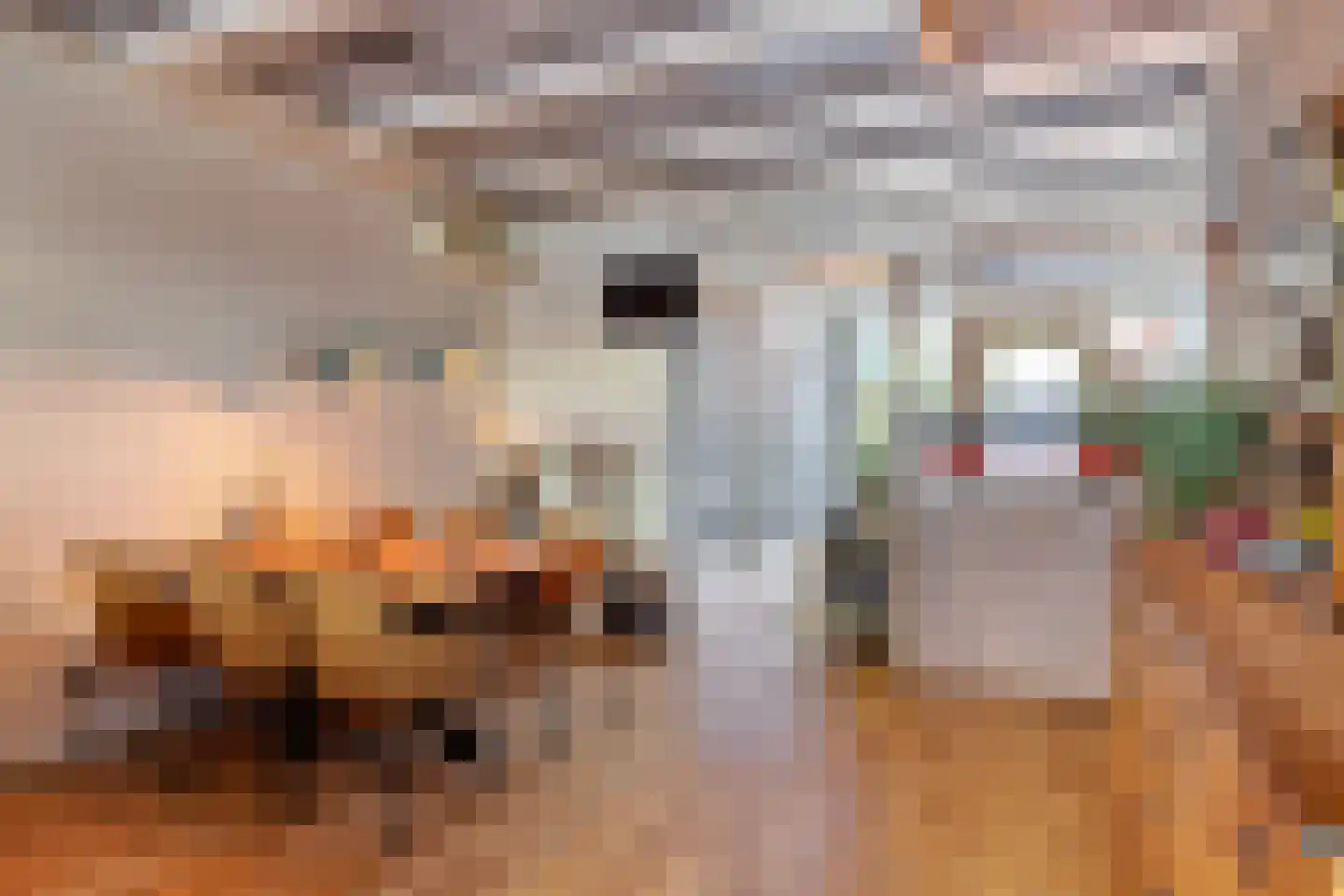 Meinardswei 36 Minnertsga thumbnail 14