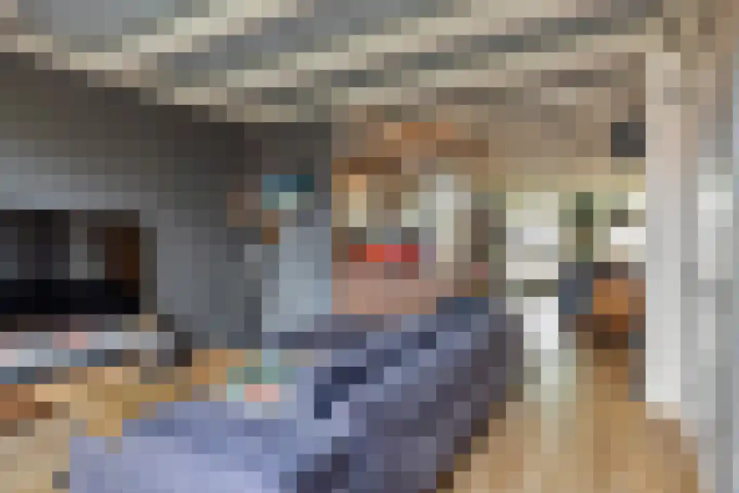 Meinardswei 36 Minnertsga thumbnail 17