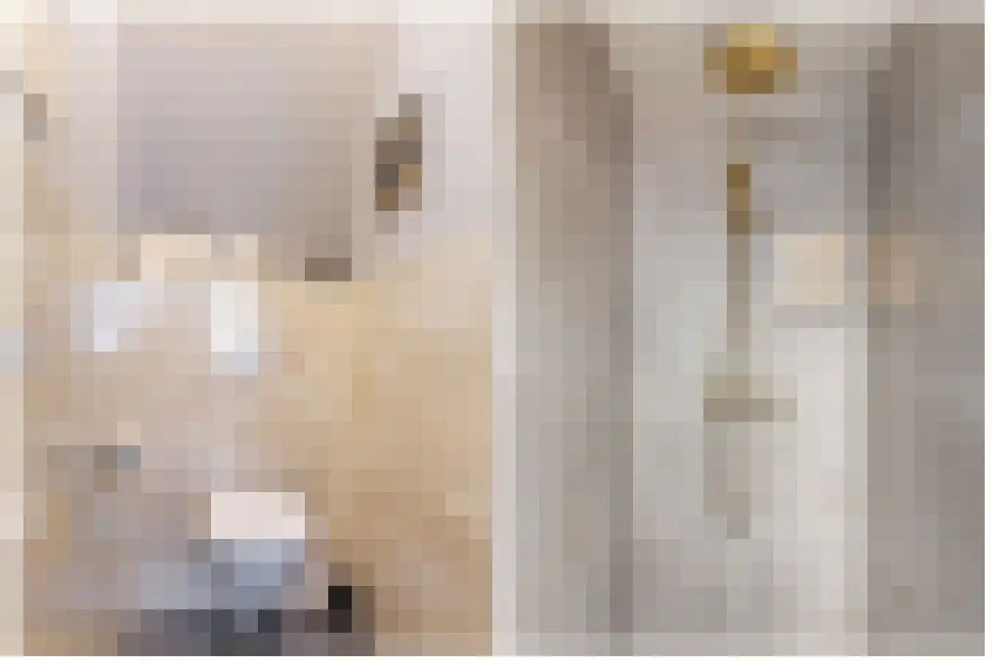 Meinardswei 36 Minnertsga thumbnail 35