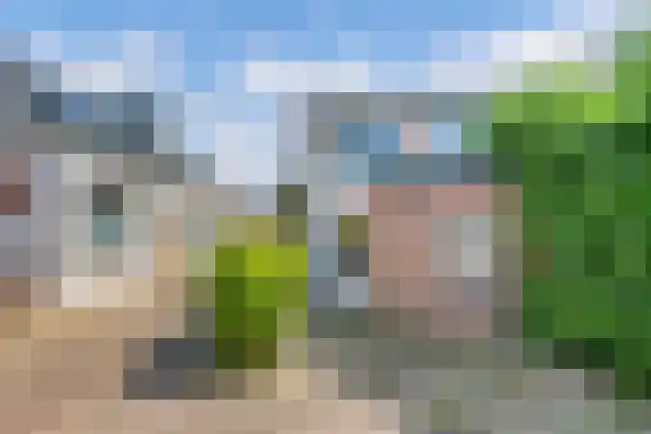 Meinardswei 74 Minnertsga thumbnail 22