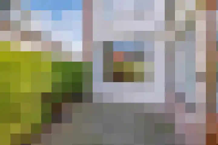 Meinardswei 74 Minnertsga thumbnail 23