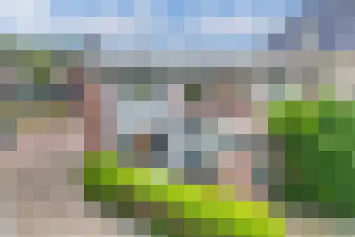 Meinardswei 74 Minnertsga thumbnail 24