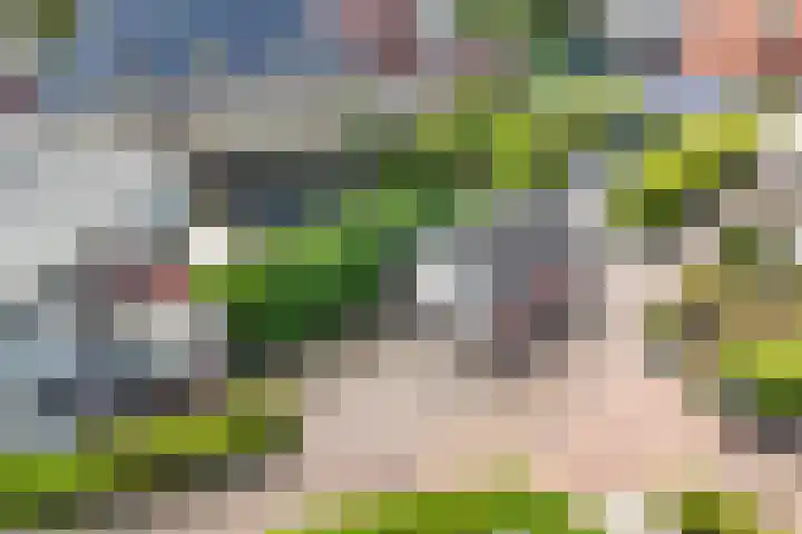 Meinardswei 74 Minnertsga thumbnail 26