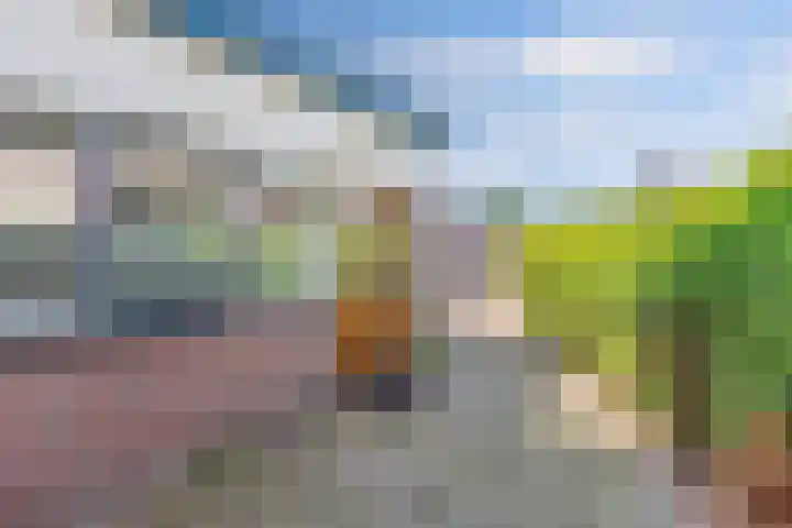 Meinardswei 74 Minnertsga thumbnail 39