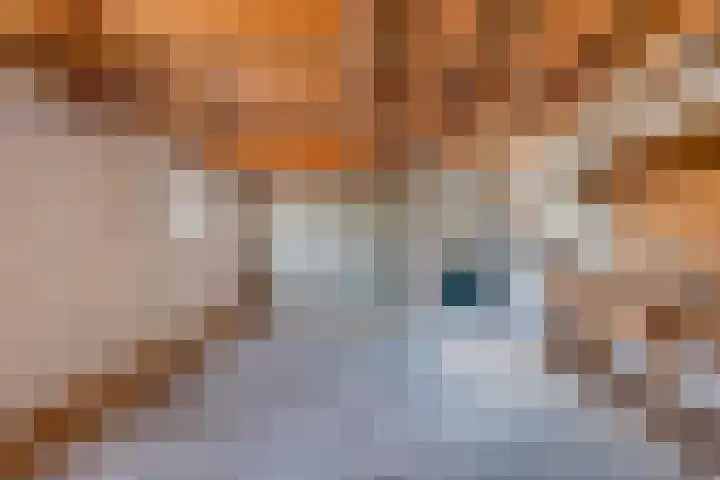 Meinardswei 74 Minnertsga thumbnail 41