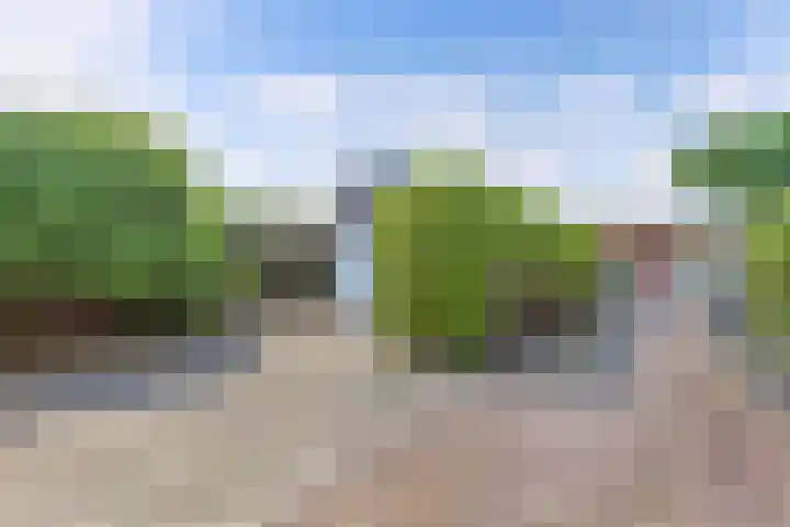 Meinardswei 74 Minnertsga thumbnail 43