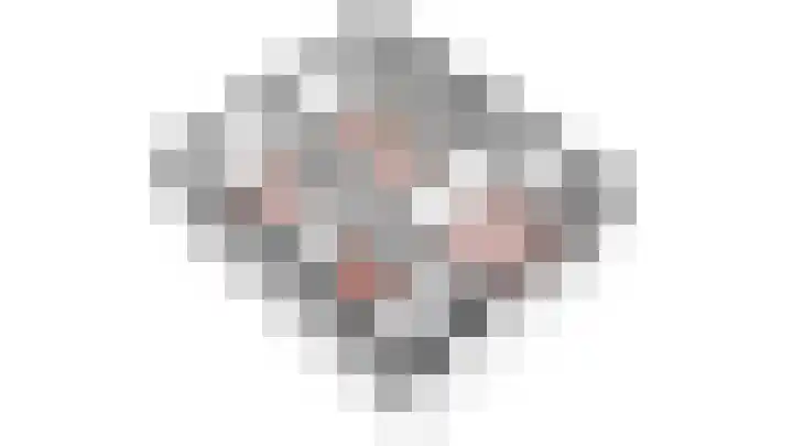 Meinardswei 74 Minnertsga thumbnail 53