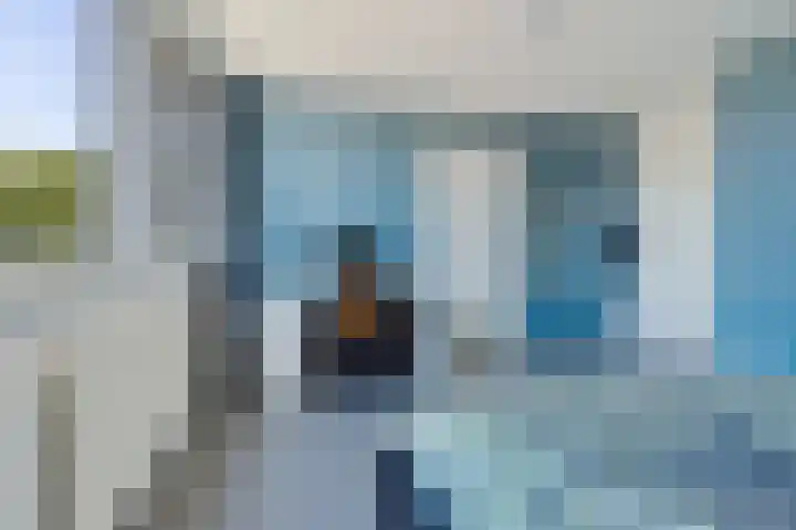 Meindert Hobbema 14 Creil thumbnail 27