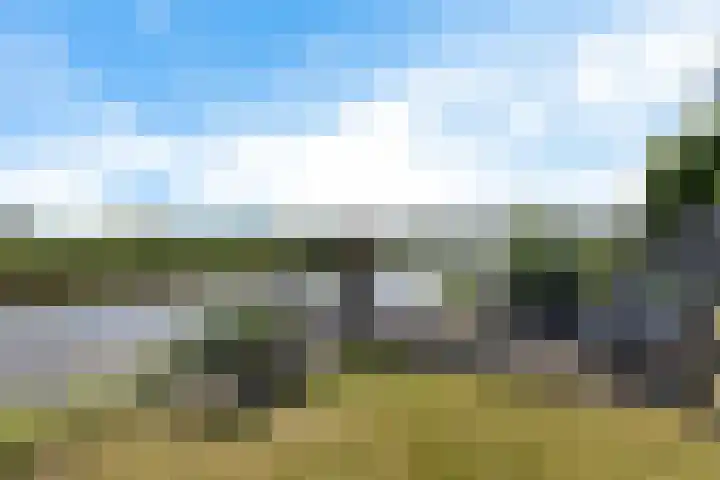 Meindert Hobbema 14 Creil thumbnail 35
