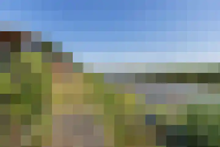 Meindert Hobbema 14 Creil thumbnail 36