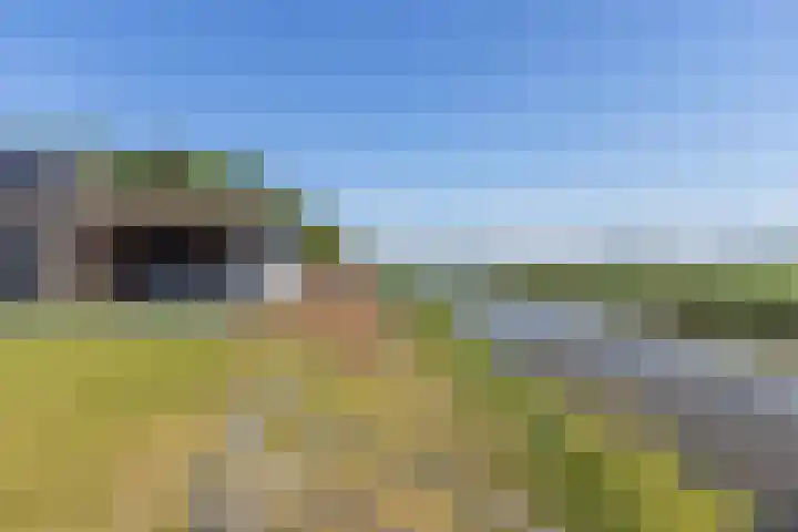 Meindert Hobbema 14 Creil thumbnail 39