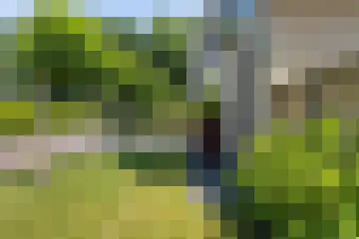 Meindert Hobbema 14 Creil thumbnail 7