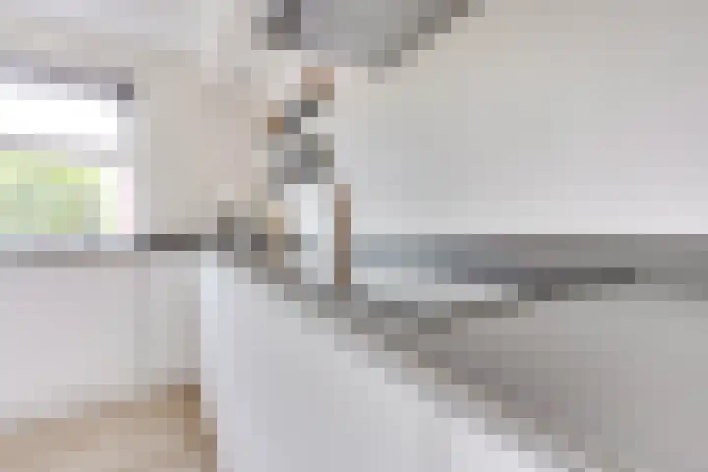 Meindert Hobbemahage 19 Nieuwegein thumbnail 7