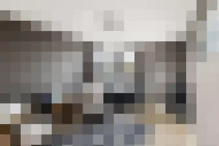 Meindert Hobbemalaan 42 Vlissingen thumbnail 17
