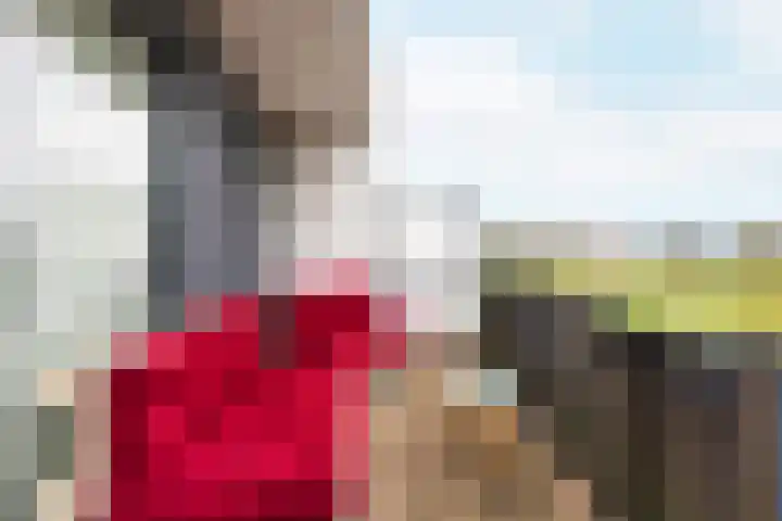 Meindert Hobbemalaan 42 Vlissingen thumbnail 24