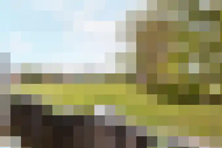 Meindert Hobbemalaan 42 Vlissingen thumbnail 26