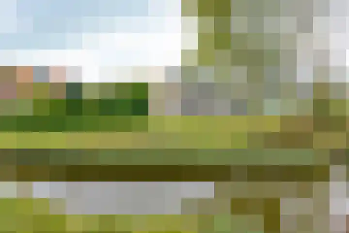 Meindert Hobbemalaan 42 Vlissingen thumbnail 27