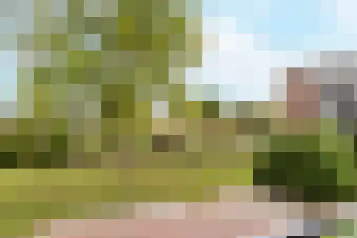 Meindert Hobbemalaan 42 Vlissingen thumbnail 4