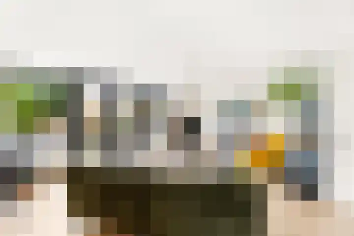 Meindert Hobbemalaan 42 Vlissingen thumbnail 7