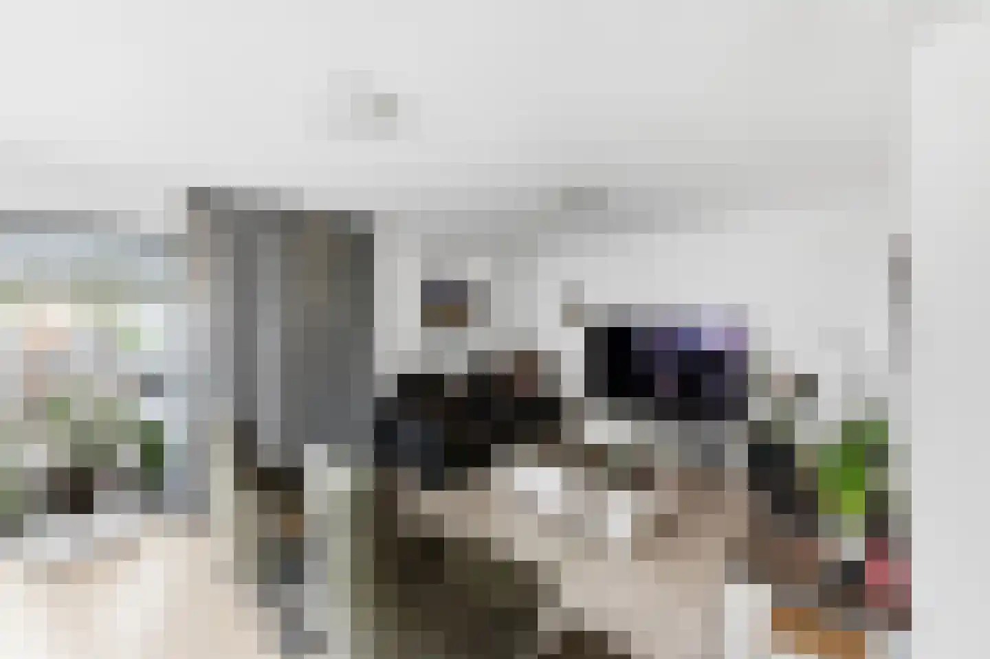 Meindert Hobbemalaan 79 Vlissingen thumbnail 16