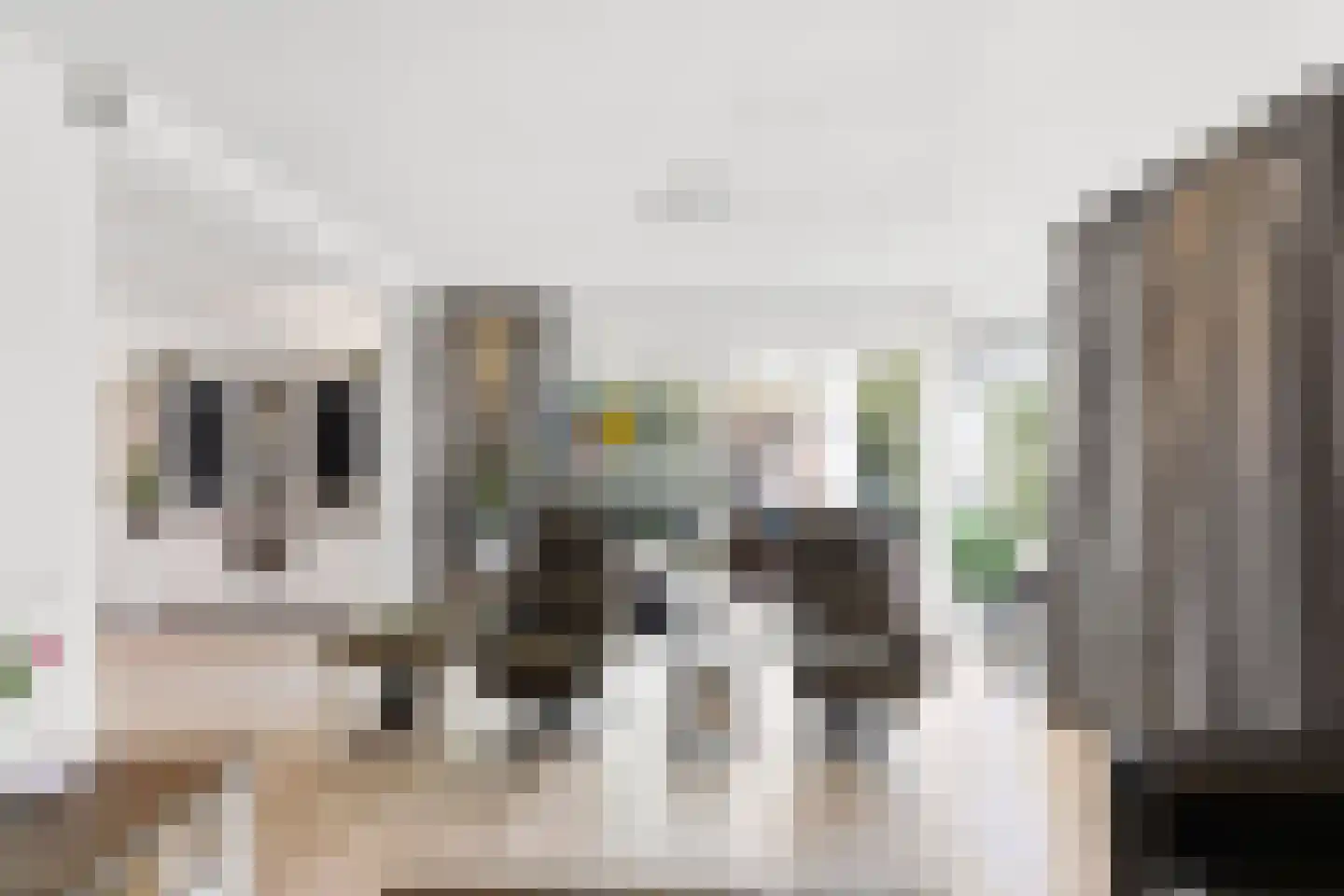 Meindert Hobbemalaan 79 Vlissingen thumbnail 18