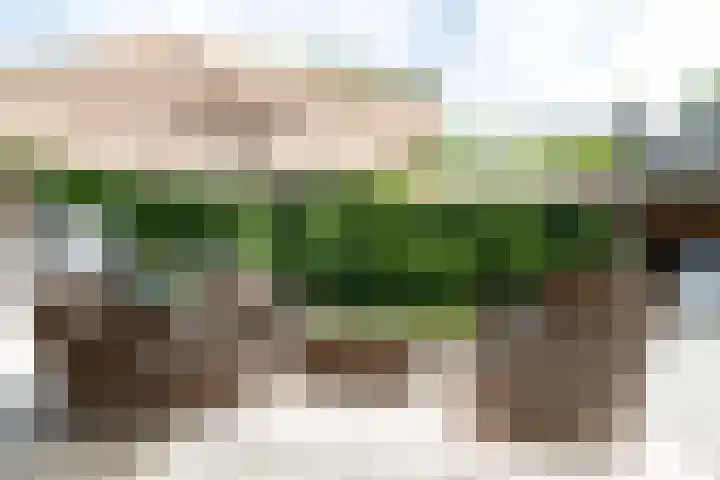 Meindert Hobbemalaan 8 IJsselstein thumbnail 13