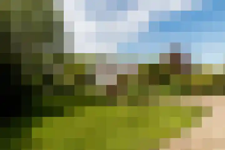 Meindert Hobbemalaan 8 IJsselstein thumbnail 18