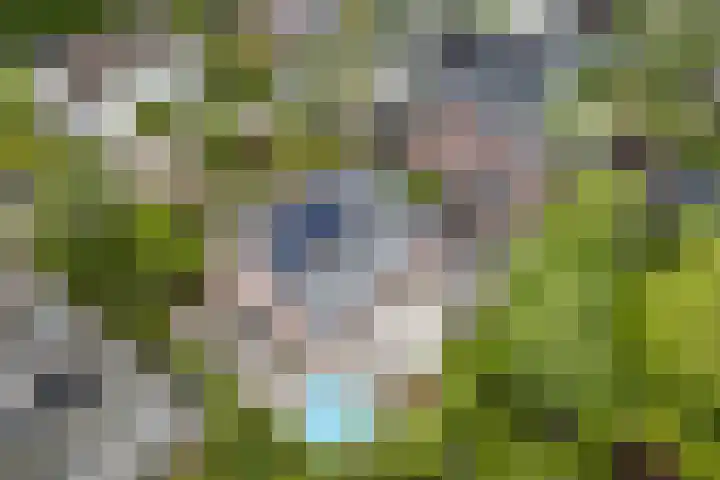 Meindert Hobbemalaan 8 IJsselstein thumbnail 42