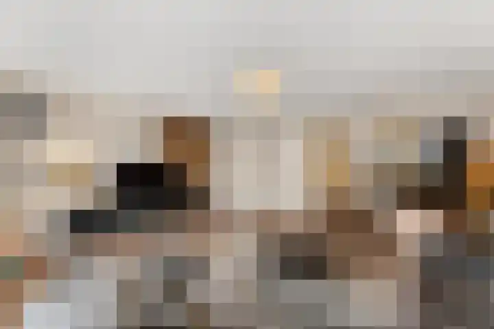 Meindert Hobbemalaan 8 Vlissingen thumbnail 10