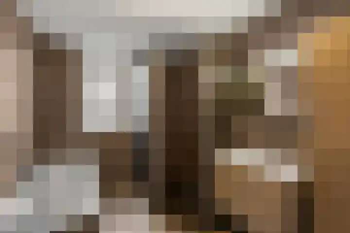 Meindert Hobbemalaan 8 Vlissingen thumbnail 28