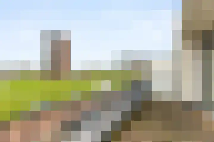 Meindert Hobbemalaan 8 Vlissingen thumbnail 34