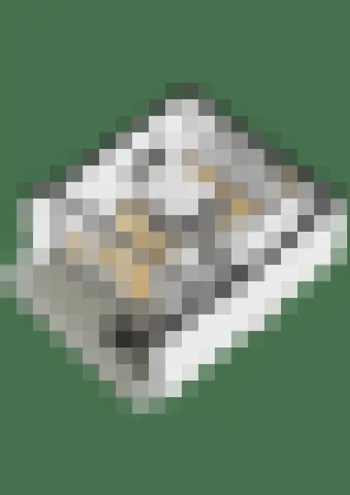 Meindert Hobbemalaan 8 Vlissingen thumbnail 40