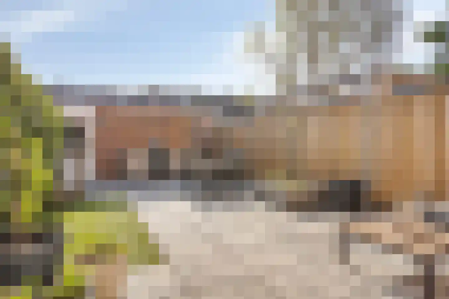 Meindert Hobbemapad 6 Axel thumbnail 26