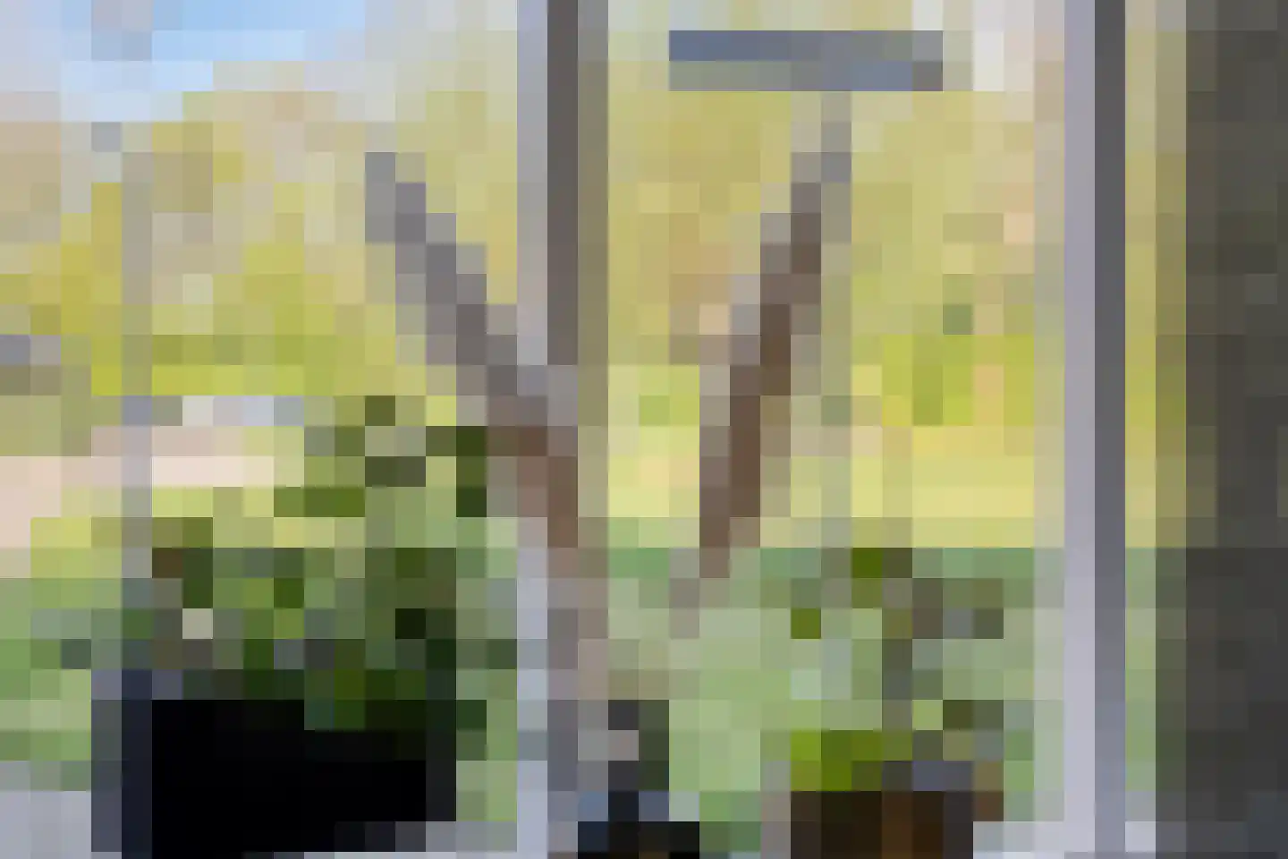 Meindert Hobbemapad 6 Axel thumbnail 5
