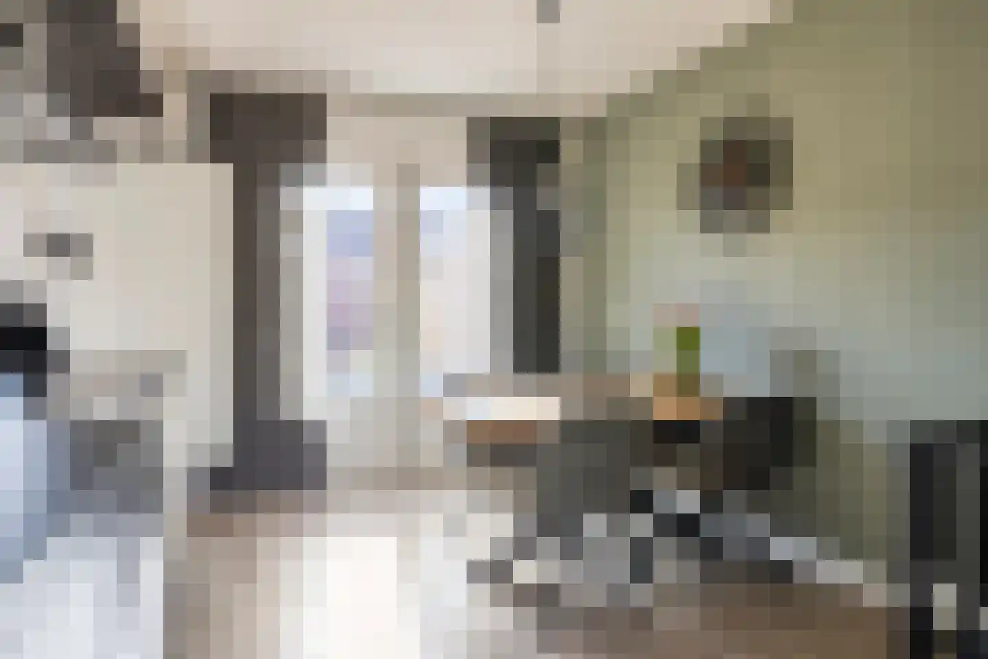 Meindert Hobbemapad 6 Axel thumbnail 8