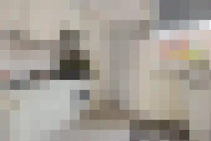 Meindert Hobbemastraat 1 Hoogezand thumbnail 13