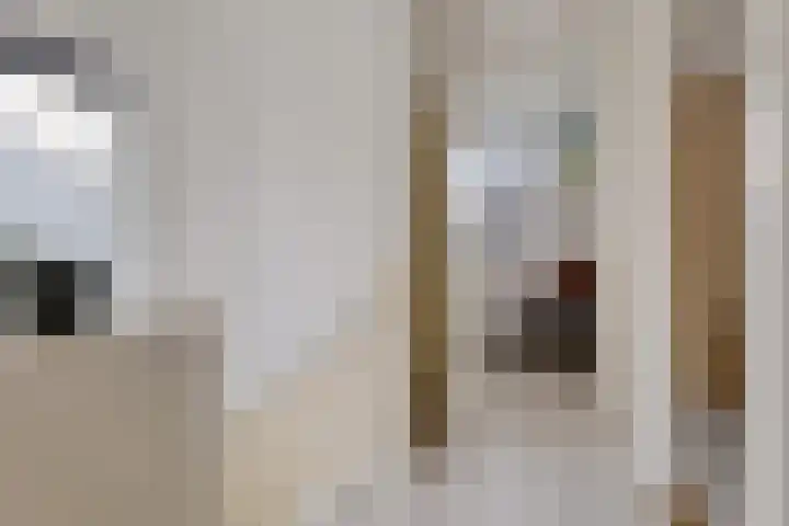 Meindert Hobbemastraat 1 Hoogezand thumbnail 17