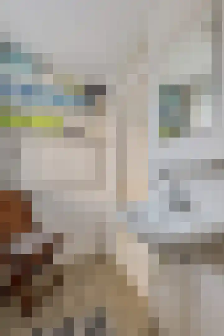 Meindert Hobbemastraat 1 Hoogezand thumbnail 21