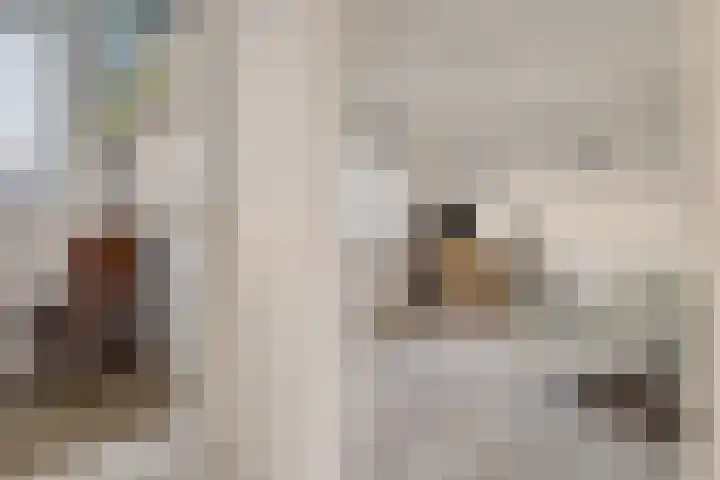 Meindert Hobbemastraat 1 Hoogezand thumbnail 22
