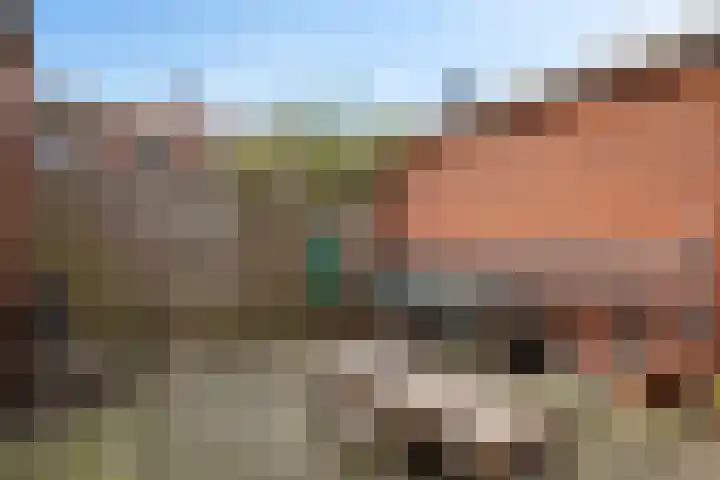 Meindert Hobbemastraat 1 Hoogezand thumbnail 34