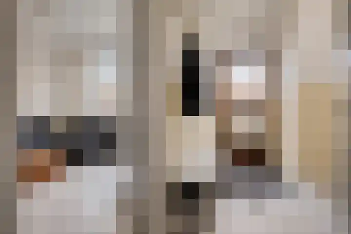 Meindert Hobbemastraat 1 Hoogezand thumbnail 7