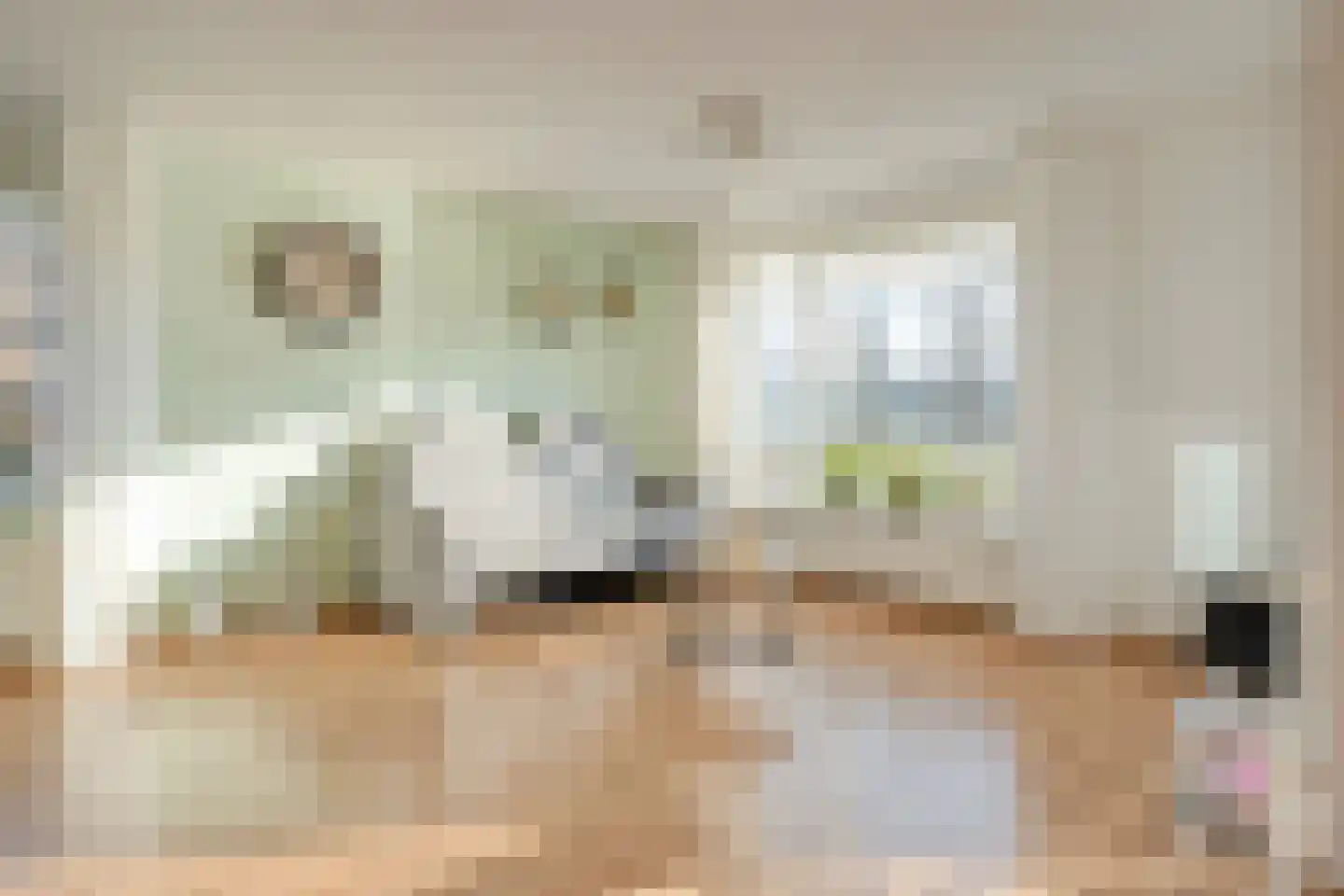 Meindert Hobbemastraat 1 Ommen thumbnail 13