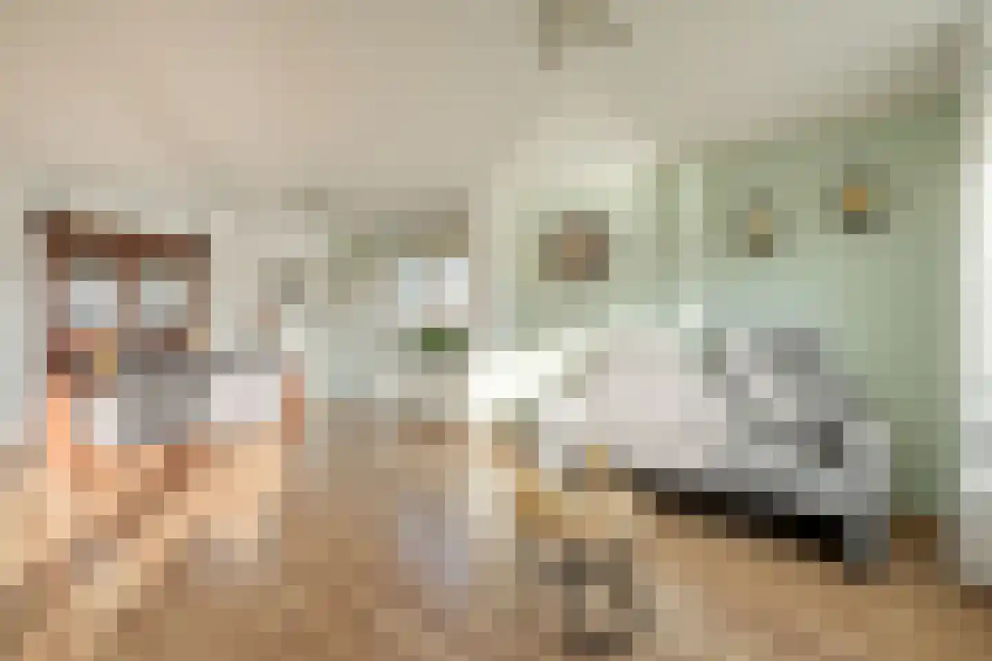 Meindert Hobbemastraat 1 Ommen thumbnail 14