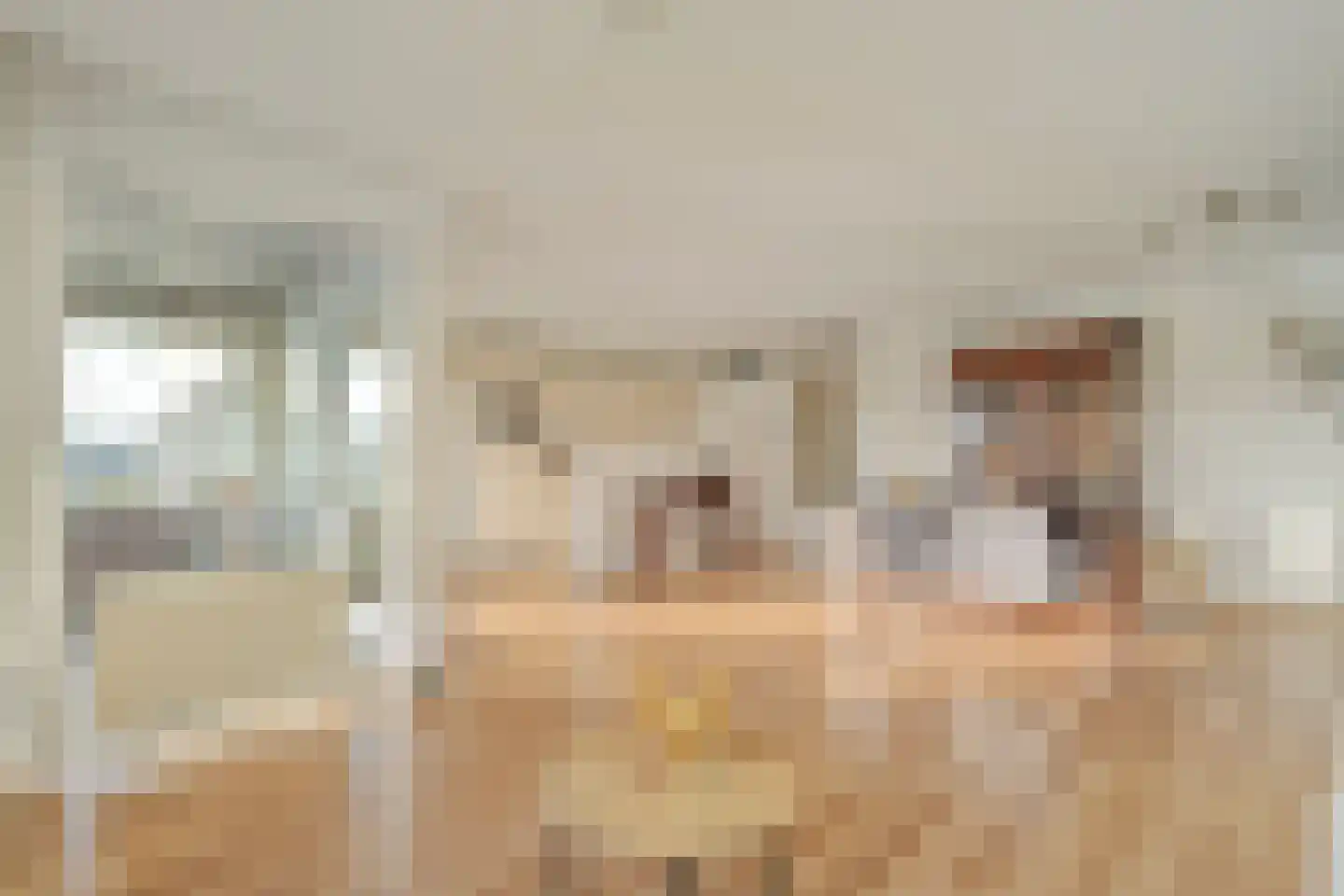 Meindert Hobbemastraat 1 Ommen thumbnail 15