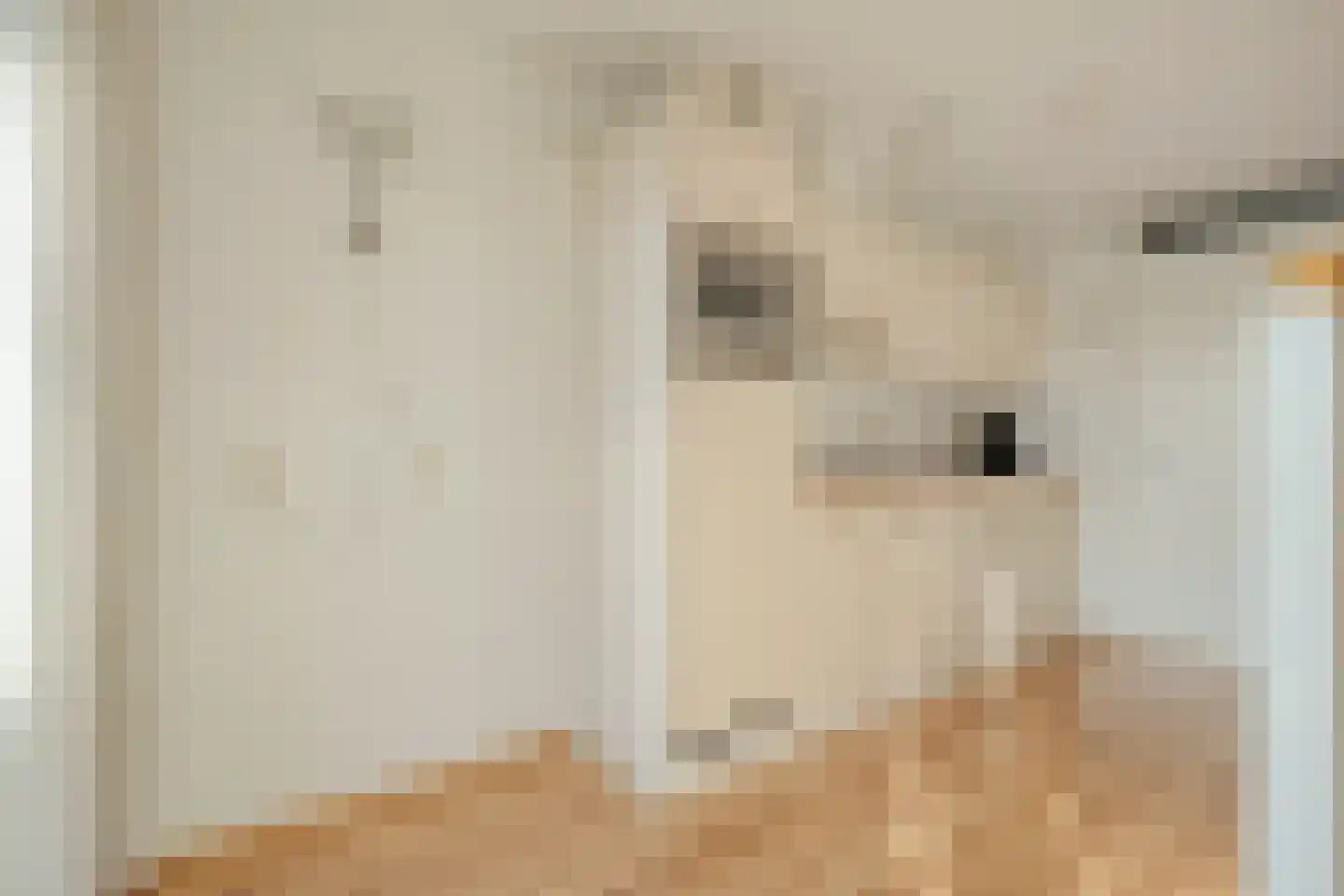 Meindert Hobbemastraat 1 Ommen thumbnail 17